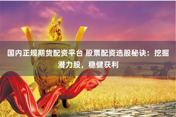 国内正规期货配资平台 股票配资选股秘诀：挖掘潜力股，稳健获利