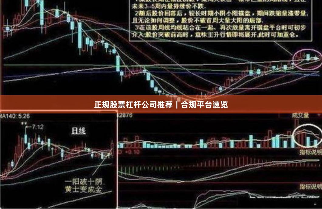 正规股票杠杆公司推荐｜合规平台速览